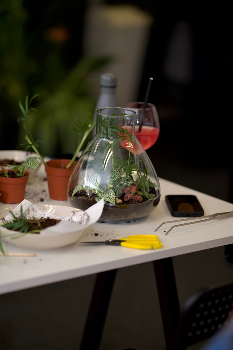 A white table topped with a bowl of plants